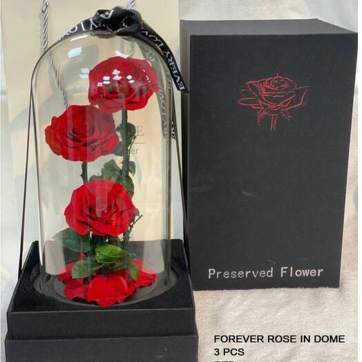 THREE RED ROSES IN DOM