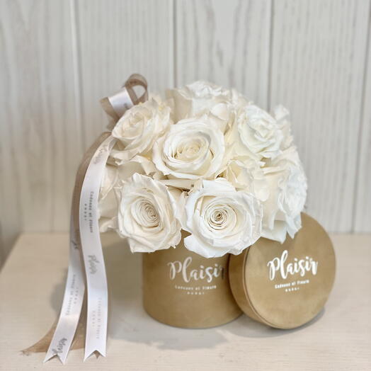 Cúpula con rosa preservada blanca