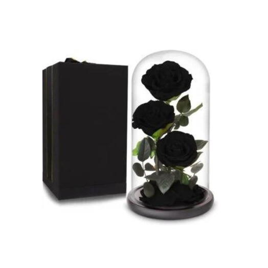 3 Flores Eternas Negras
