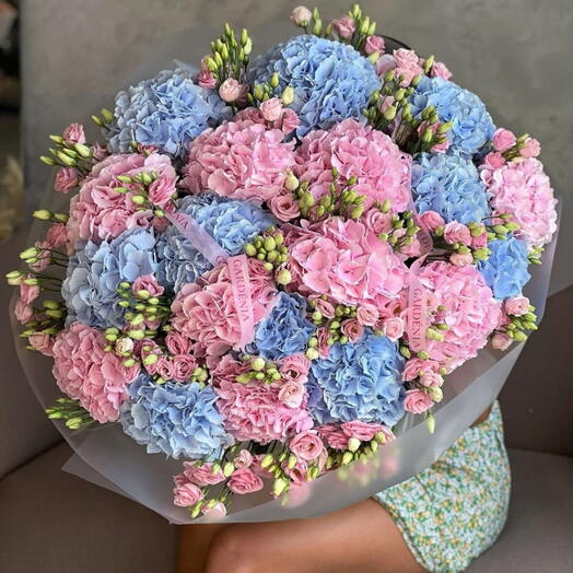 Hydrangea Big Bouquet