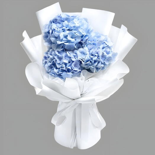 Гортензии 002