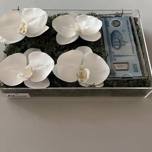 Orchid money gift