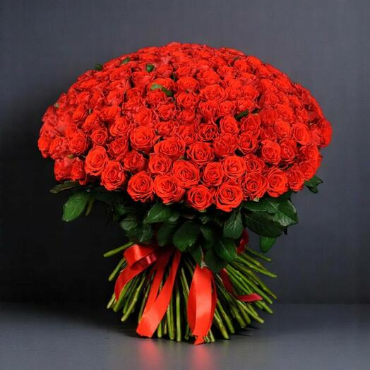 Большой букет из 101 красной розы – роскошная композиция из красных роз