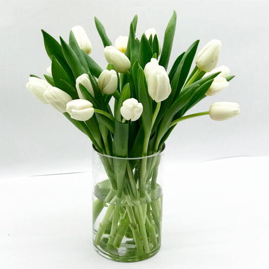 Snowdrop Serenade Vase