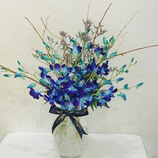 Orchids Vase:20 Stems Of Blue Orchids in a Glass Vase