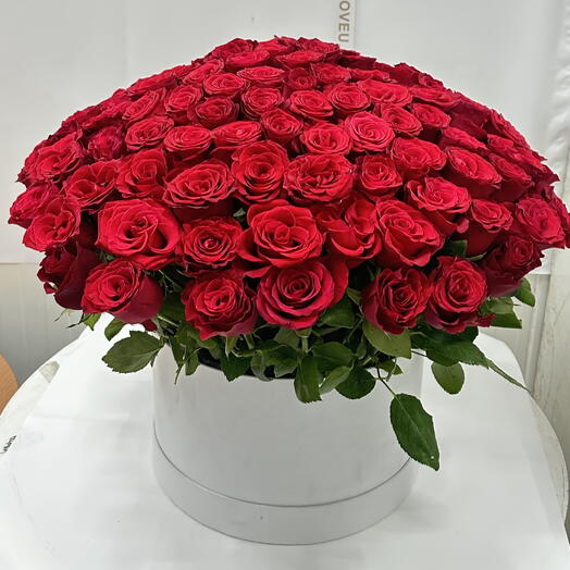 100 Red roses 🌹 in a box