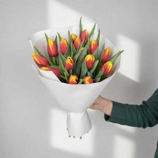 Солнечная Искра -15 Красные   Жёлтые Тюльпаны