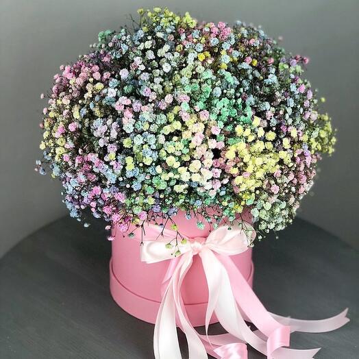 Коробка гипсофилы смешанных цветов-5948
