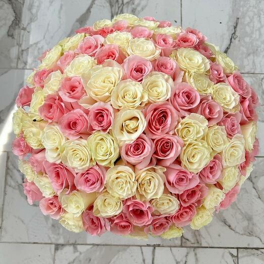 Harmony of 101 White and Pink Roses