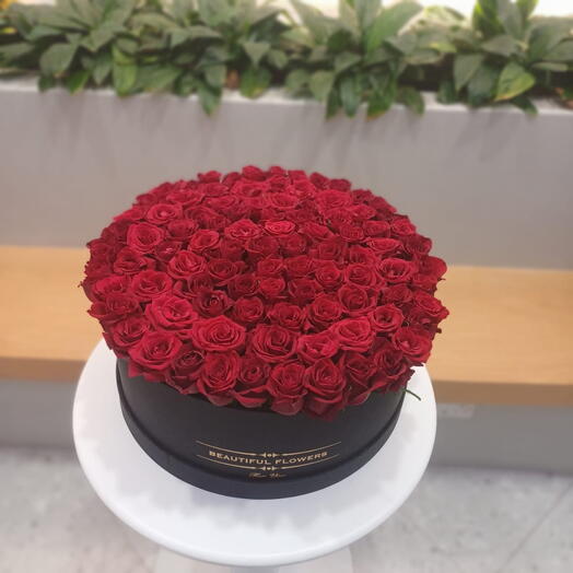 Maestro Redondo Rojo