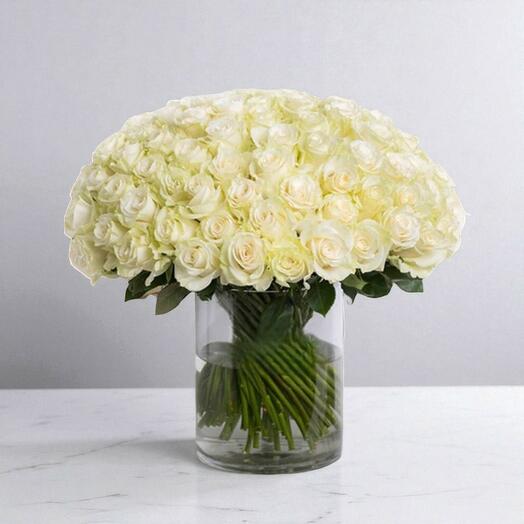 White Roses Vase 100 Roses