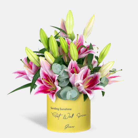 Get Well Soon Pink Lily in Medium Box