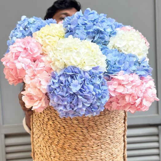 Bouquet of  Hydrangeas "Clouds of pastels"