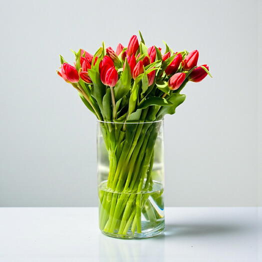 Red Tulpan Vase