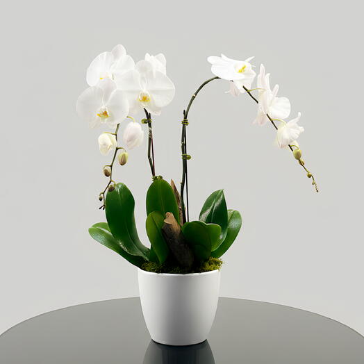 Экологичный цветочный горшок