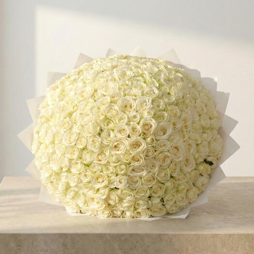 201 Premium White Roses