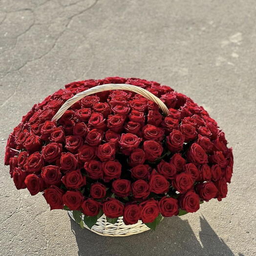 Basket of rose 101