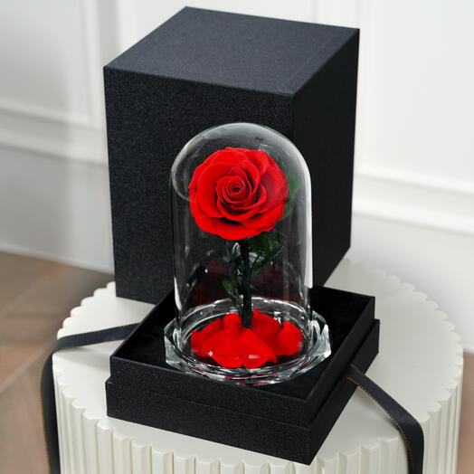 Rosa Infinita Roja Romántica Pequeña  7523