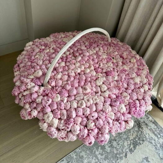 Piones 320pis (special offer)