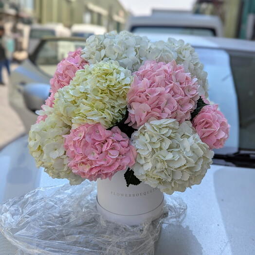 White pink Hydrangea Box