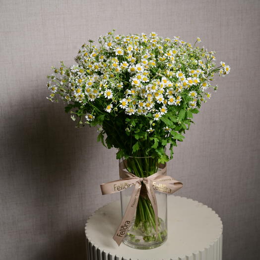 15 танацетумов в цилиндрической стеклянной вазе  6131