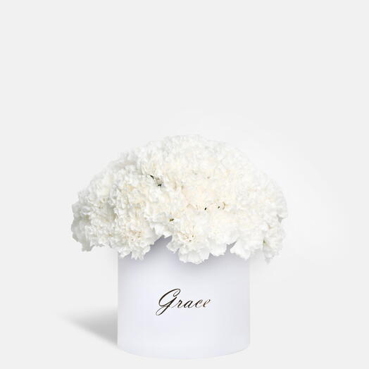 Белая гвоздика в большой коробке