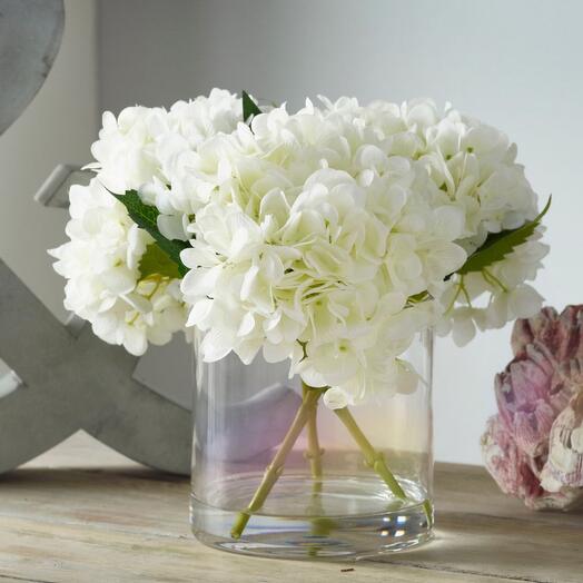 Hydrangea white small