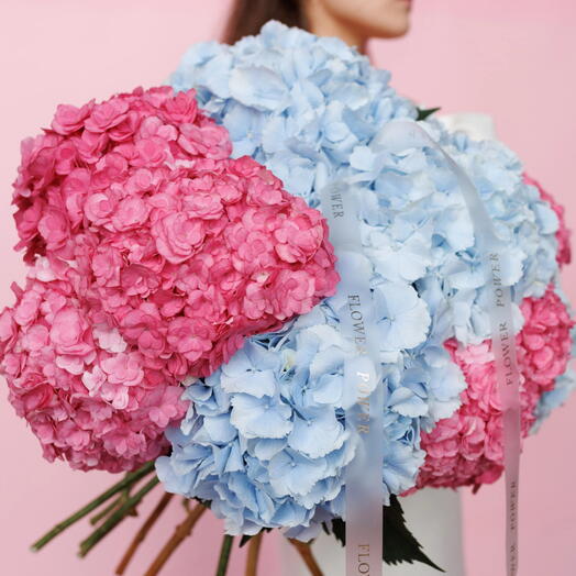 Candy Mood: букет розовых и голубых гортензий