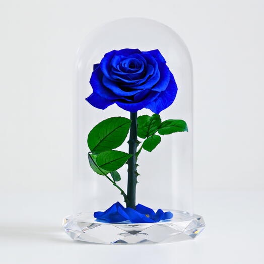 ⁠Forever Rose Blue