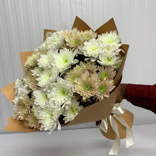 Whispers of winter mums special