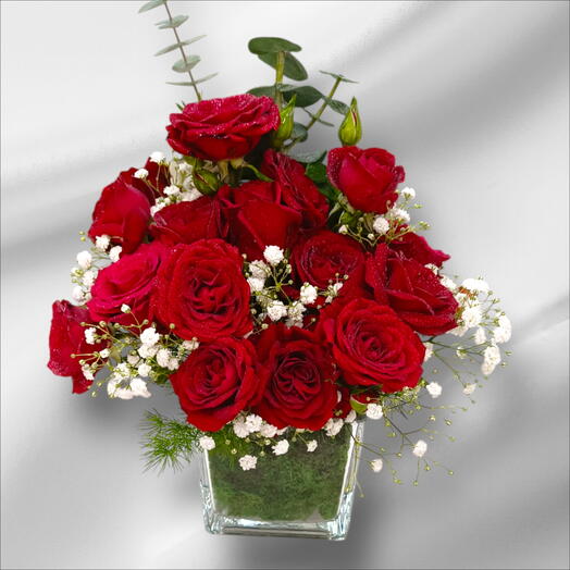Красная роза и гипсофила в вазе