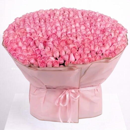 Мега букет _501 Роскошный большой букет из розовых роз для годовщины или Дня святого Валентина