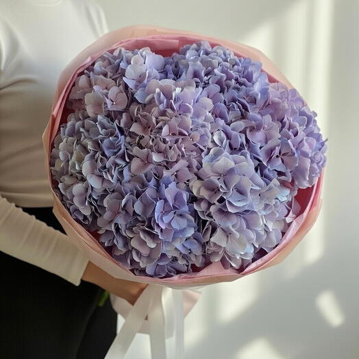 Моно-букет гортензии Lavender Cloud