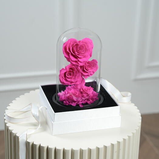 Fellora Premium Fuchsia Pink Infinity Roses  7541