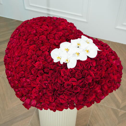 701 Red Roses Heart Arrangement in Round Box  7645