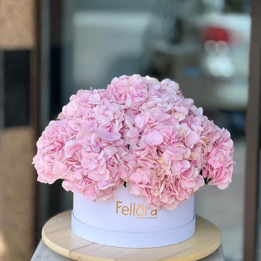 11 Pink Hydrangea Box - 500