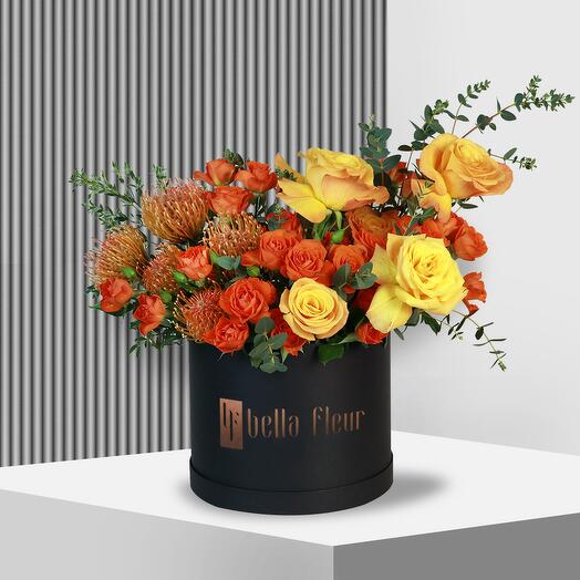 Siena Bella Box - Large