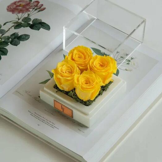 Marble Yellow Infinity Quatro