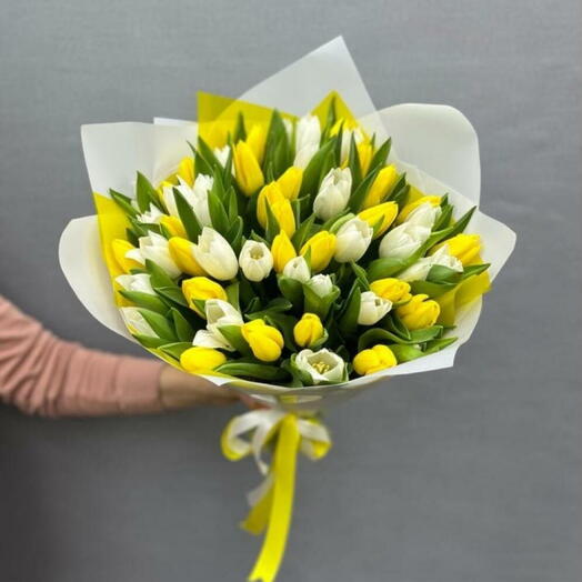 Солнце тюльпаны свет