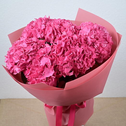 5 Dark Pink Hydrangeas-1924