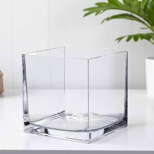 Square Glass Vase 12*12Cm