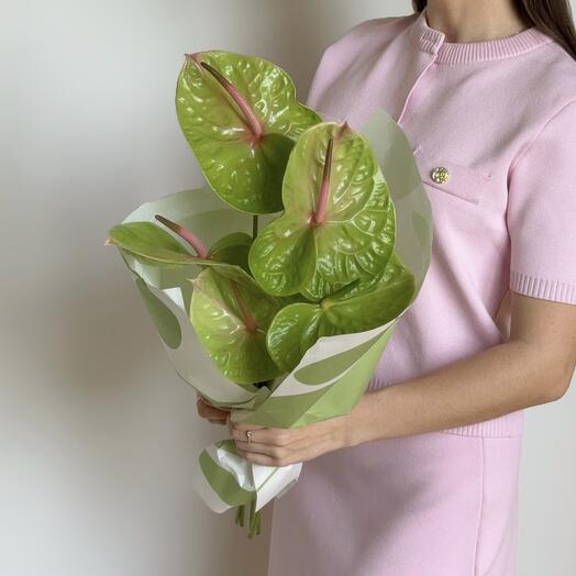 Anturios verdes (5 uds)