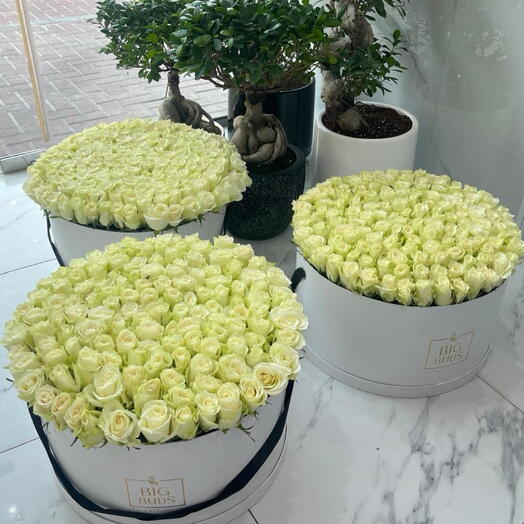 3 коробки по 101 розе