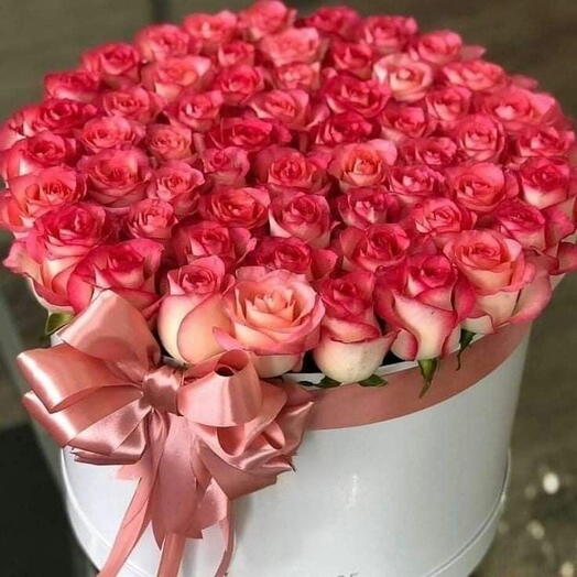 Premium 51 Pink Roses in a Luxury Box