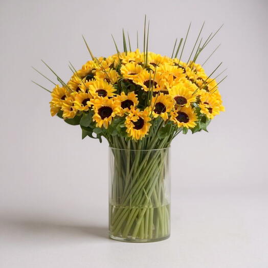 Golden Horizon 40 Sunflower