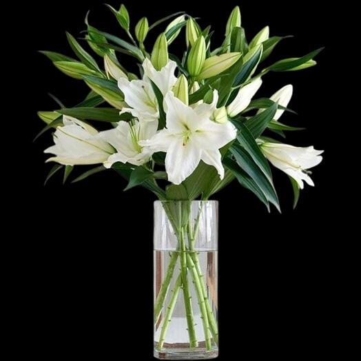 White lilies