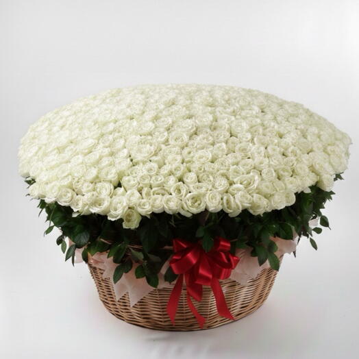 1001 white Rose Basket