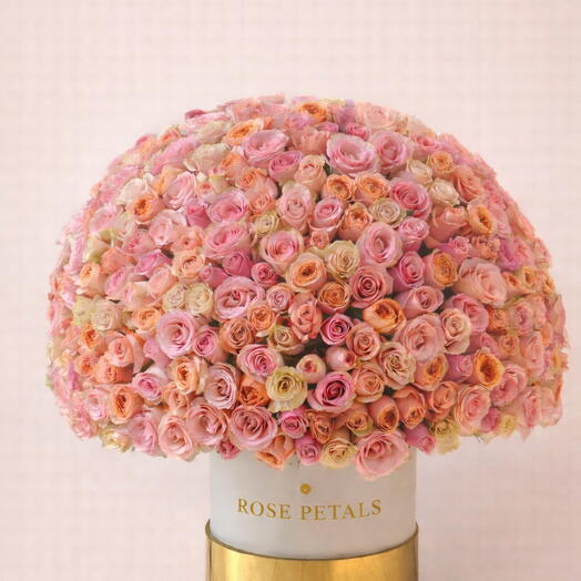 Mix BigPink Arrangement