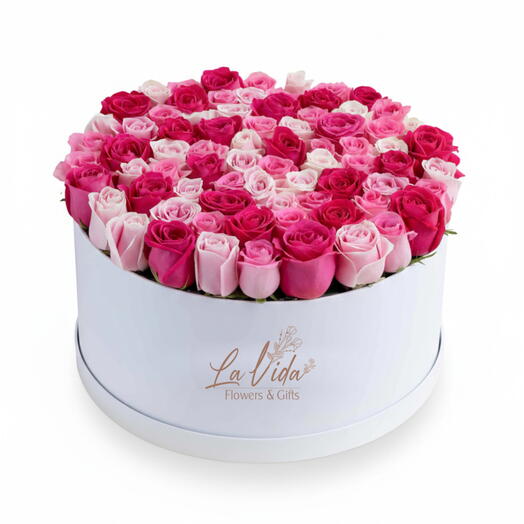 Pink Roses Box - 66 Stems