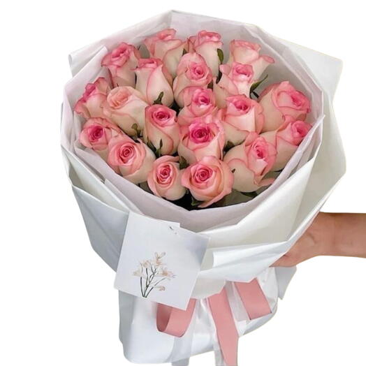 Rosa Jumilia envuelta en envoltorio blanco como la nieve